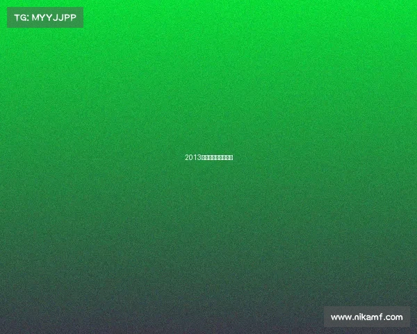 2013年詹姆斯在哪支球队