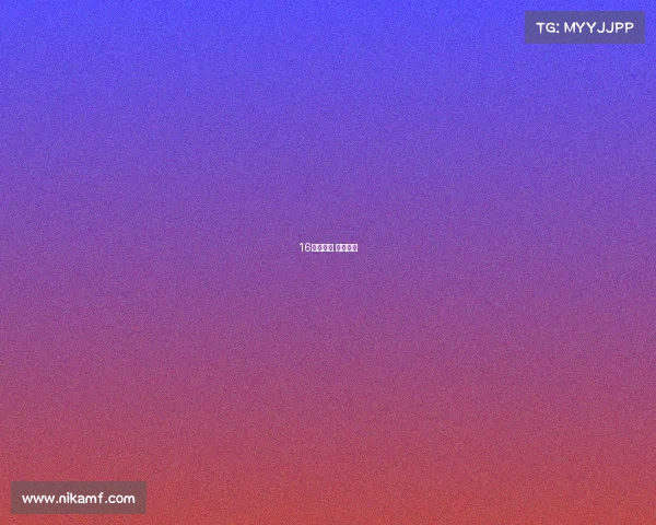 16赛事分析 赛事汇总