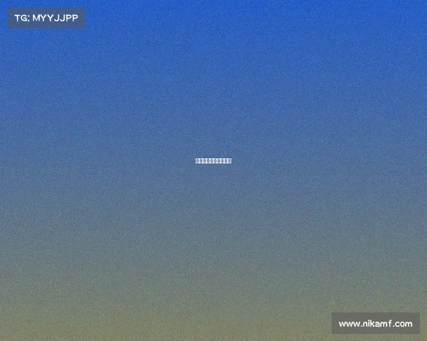 体育赛事总体策划流程