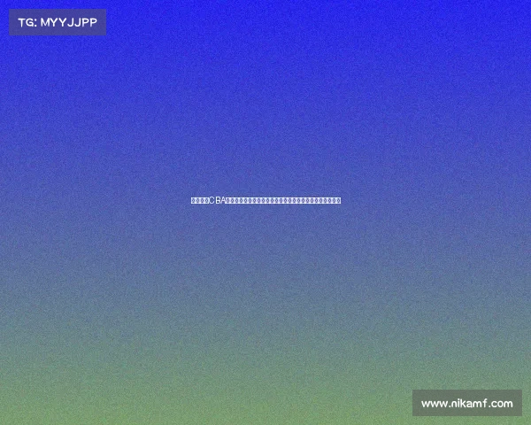 辽宁飞豹CBA征程赛事全程精彩集锦球员拼搏精神展现篮球魅力未来展望