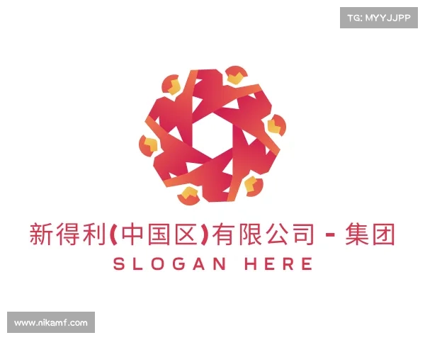 关于新得利(中国区)有限公司 - 集团